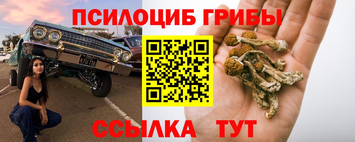 Галлюциногенные грибы мухоморы Грязи
